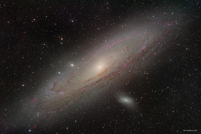 M31-WD20