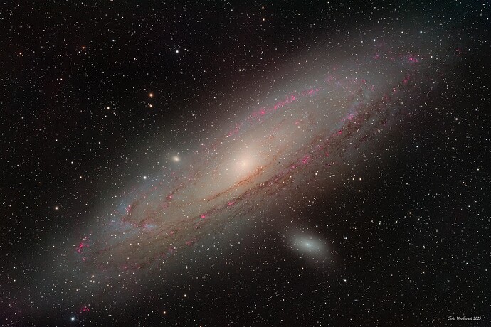 M31-WD20